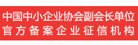 中國中小企業協會副會長單位